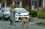 Wilnis 25 mei 2025
Andre Hazes gaat sporten en daarna komt Monique Westenberg met zoon Andre Hazes jr de hond brengen bij zijn huis .
Andre en Monique geven elkaar een knuffel .
