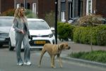 Wilnis 25 mei 2025
Andre Hazes gaat sporten en daarna komt Monique Westenberg met zoon Andre Hazes jr de hond brengen bij zijn huis .
Andre en Monique geven elkaar een knuffel .