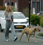 Wilnis 25 mei 2025
Andre Hazes gaat sporten en daarna komt Monique Westenberg met zoon Andre Hazes jr de hond brengen bij zijn huis .
Andre en Monique geven elkaar een knuffel .