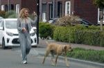 Wilnis 25 mei 2025
Andre Hazes gaat sporten en daarna komt Monique Westenberg met zoon Andre Hazes jr de hond brengen bij zijn huis .
Andre en Monique geven elkaar een knuffel .