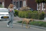 Wilnis 25 mei 2025
Andre Hazes gaat sporten en daarna komt Monique Westenberg met zoon Andre Hazes jr de hond brengen bij zijn huis .
Andre en Monique geven elkaar een knuffel .