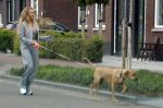 Wilnis 25 mei 2025
Andre Hazes gaat sporten en daarna komt Monique Westenberg met zoon Andre Hazes jr de hond brengen bij zijn huis .
Andre en Monique geven elkaar een knuffel .