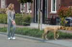 Wilnis 25 mei 2025
Andre Hazes gaat sporten en daarna komt Monique Westenberg met zoon Andre Hazes jr de hond brengen bij zijn huis .
Andre en Monique geven elkaar een knuffel .