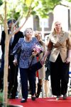 Amsterdam 20 mei 2025
Prinses Beatrix opent Art Zuid in Amsterdam zuid. Prinses Beatrix loopt met 2 wandelstokken .