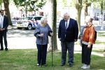 Amsterdam 20 mei 2025
Prinses Beatrix opent Art Zuid in Amsterdam zuid. Prinses Beatrix loopt met 2 wandelstokken .