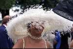 Ascot ( Engeland ) 17 juni 1999
Hoeden...hoeden  en nog meer hoeden op de LADY'S-day tijdens de Ascot paardenraces