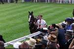 Ascot (Engeland ) 17 juni 1999
Ascot races met veel hoeden
Het paard van Koning Elizabeth