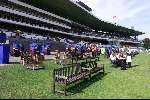 Ascot ( Engeland ) 17 juni 1999
Hoeden...hoeden  en nog meer hoeden op de LADY'S-day tijdens de Ascot paardenraces
Restaurant en terrasjes
Gokkraampjes