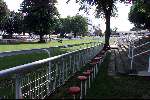 Ascot ( Engeland ) 17 juni 1999
Hoeden...hoeden  en nog meer hoeden op de LADY'S-day tijdens de Ascot paardenraces