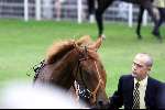 Ascot (Engeland ) 17 juni 1999
Ascot races met veel hoeden
Het paard van Koning Elisabeth