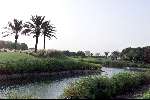 Dubai 9 mei 2001
Dubai Creek golfbaan