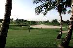Dubai 9 mei 2001
Dubai Creek golfbaan