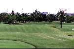 Dubai 9 mei 2001
Dubai Creek golfbaan