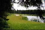 Lage Vuursche golfbaan, 11 juni 2001
Golfen