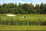 Lage Vuursche golfbaan, 11 juni 2001
Golfen