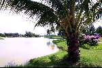 14 oktober 2001
Golfcourse Karambunai in Maleisie
Golfen