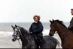 Katwijk aan zee 2 mei 2000
Koningin Beatrix te paard op het strand