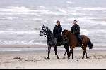 Noordwijk 5 mei 2000
Koningin Beatrix tijdens het paardrijden op het strand van Noordwijk