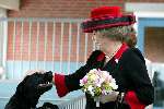Amstelveen 14 mei 2003
Koningin Beatrix bij blindengeleidehond instituut
Labrador