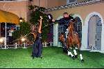 Marbella 13 juni 2003
Princess in marbella
Paarden act
