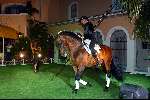 Marbella 13 juni 2003
Princess in marbella
Paarden act