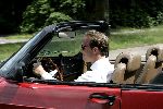 Soestdijk 29 juni 2004
93e Verjaardag Prins Bernhard op Soestdijk. 
Prins Jaime in saab cabrio