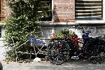 Amsterdam 8 juni 2004
Fietsen van Prins Maurits en Marilene met banden eraf