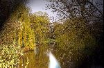 Riviertje De Dommel bij Eindhoven