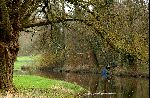 Riviertje De Dommel bij eindhoven met een visser ( hengeslportliefhebber
2004
