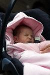 Amsterdam 17 juni 2005
eerste foto's van Prinses Marilene en Felicia en Anna