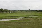 20 Mei 2005
Golfbaan Ameland