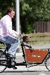 Castricum 8 juni 2005
Henny Huisman met zijn kleinkinderen Emaa en Oliver in bakfiets.