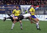 Bob Peeters