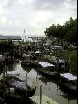 Langkawi 29 mei 2000
Vissersvloot in Maleisie