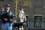 Amsterdam 16 maart 2002
Martijn Krabbe met hond