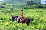 28 maart 2003 Fernando de Noronha  Brazilie 
Eiland met bergen zon strand mooie zee paardrijden
Fernando de Nolronha