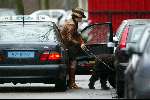 Amsterdam 8 maart 2003
Mathilde Santing met hond in taxi