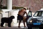 Amsterdam 8 maart 2003
Mathilde Santing met hond in taxi