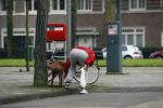 Amsterdam 22 februari 2007
Edwin de Roy v Zuydewijn is niet naar het buitenland gevlucht maar woont op dit moment
met zin hond bij zijn moeder.
Peter Smulders bv