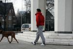 Amsterdam 22 februari 2007
Edwin de Roy v Zuydewijn is niet naar het buitenland gevlucht maar woont op dit moment
met zin hond bij zijn moeder.