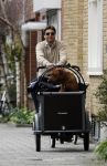 Amsterdam 17 maart 2007
Edwin de Roy v Zuydewijn op bakfiets met daarin zijn hond.