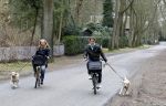 Huizen 13 maart 2010
Jeroen Rietbergen en Linda de Mol met de honden van Linda 
Peter Smulders bv
