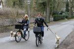 Huizen 13 maart 2010
Jeroen Rietbergen en Linda de Mol met de honden van Linda 
Peter Smulders bv