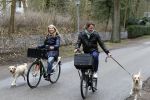 Huizen 13 maart 2010
Jeroen Rietbergen en Linda de Mol met de honden van Linda 
Peter Smulders bv