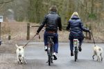 Huizen 13 maart 2010
Jeroen Rietbergen en Linda de Mol met de honden van Linda 
Peter Smulders bv