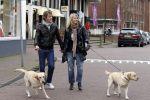 Huizen 13 maart 2010
Jeroen Rietbergen en Linda de Mol met de honden van Linda 
Peter Smulders bv