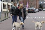 Huizen 13 maart 2010
Jeroen Rietbergen en Linda de Mol met de honden van Linda 
Peter Smulders bv