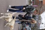 Huizen 13 maart 2010
Jeroen Rietbergen en Linda de Mol met de honden van Linda 
Peter Smulders bv
