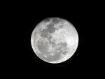 Curacao 2 januari 2009
Volle maan op curacao.
Peter Smulders bv