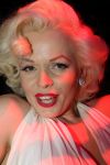 Rotterdam, 25 Februari 2011
Locatie: Club Vie Maasboulevard 300 
2e Editie. La Nuit de la Mode,Sapph Lingerie & Beachwear 2011
Marilyn Monroe
Foto Peter Smulders BV
